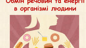 Практична робота. Складання схем обміну вуглеводів, ліпідів та білків.