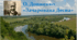 Самостійна робота за творчістю Олександра Довженка