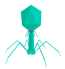 0402i6vp-f6d3-218x231.png