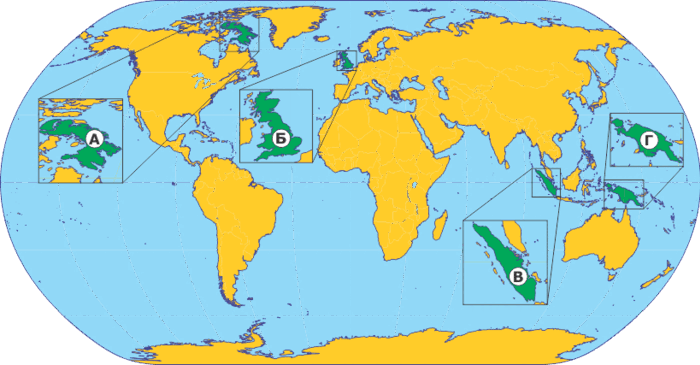 0402i99f-ca4b-820x427.png