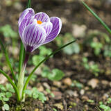 0402id9x-ed99-160x160.jpg