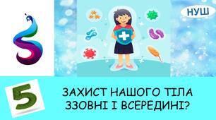 Презентація :ЗАХИСТ НАШОГО ТІЛА ЗЗОВНІ І ВСЕРЕДИНІ?