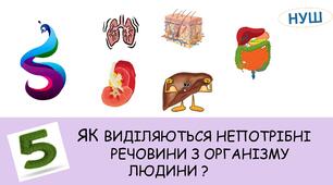 Презентація на тему: ЯК ВИДІЛЯЮТЬСЯ НЕПОТРІБНІ РЕЧОВИНИ З ОРГАНІЗМУ ЛЮДИНИ ?