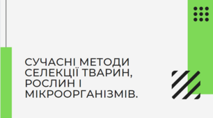 Презентація "Сучасні методи селекції тварин, рослин і мікроорганізмів", 11 клас
