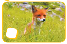0402ihyd-c54e-231x154.png