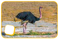 0402ihyp-fce4-228x154.png