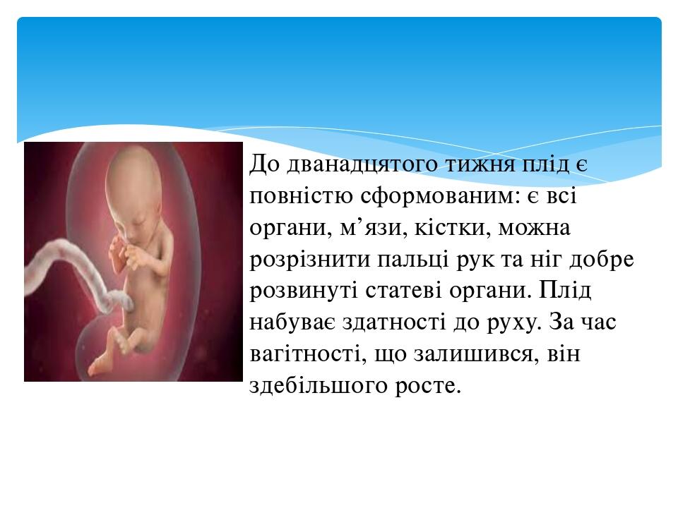 Презентація Ембріогенез людини Взаємодія частин зародка що розвивається Презентація 9615