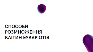 Презентація "Способи розмноження клітин еукаріотів", 10 клас