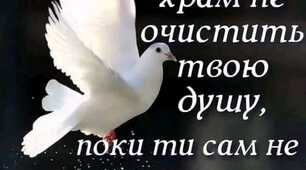 Дощить весна, з'їжджає тванню,  зненацька ґави не злови.