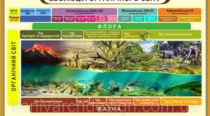 Узагальнюючий тест за темою Еволюція органічного світу