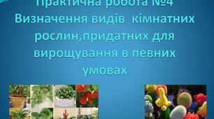 Практична робота № 4. ВИЗНАЧЕННЯ ВИДІВ КІМНАТНИХ РОСЛИН,  ПРИДАТНИХ ДЛЯ ВИРОЩУВАННЯ В ПЕВНИХ УМОВАХ