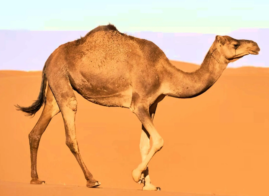 0402iooa-0325-940x684.png