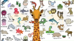 0402ipeo-38a8-249x139.png