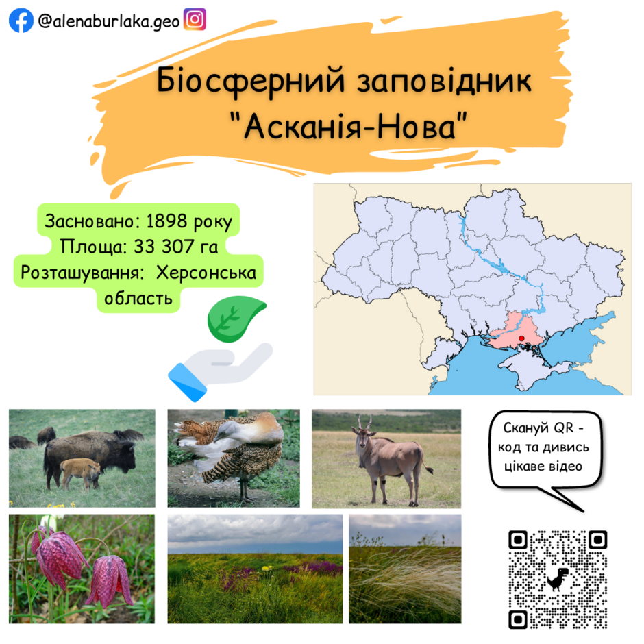0402is6c-03a0-940x940.png