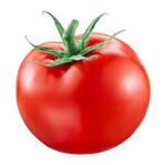 Tomato Per Pc – Holy Land Grocery