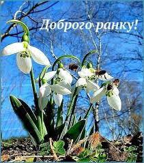 ДОБРОГО ВАМ РАНКУ🌞 Прокинувся за... - Соломія Українець | Facebook