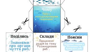 Кубик Блума на тему "Надклас Риби"