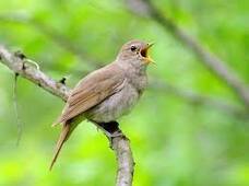 0402iu2z-2257-260x194.jpg