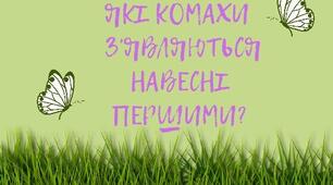 Презентація "Які комахи з'являються навесні першими?".