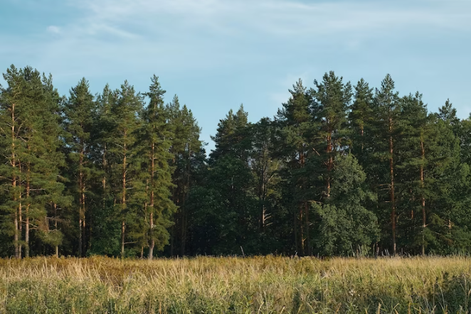 0402iuyd-5a89-662x442.png