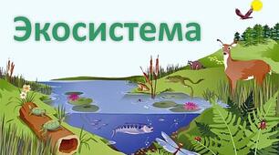 (Копія) (Копія) Екосистема. Різноманітність природних екосистем. Харчові зв*язки, потоки енергії та колообіг речовин в екосистемах.