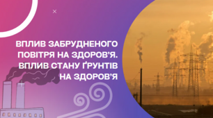 Презентація "Вплив забрудненого повітря на здоров’я. Вплив стану ґрунтів на здоров’я", 8 клас