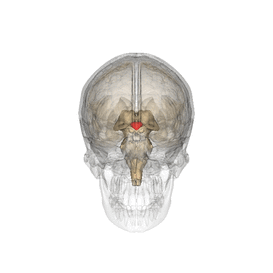 0402j4na-254f-273x273.gif