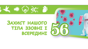 (Копія) Захист нашого тіла ззовні і всередині