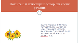 Презентація "Поширені й непоширені однорідні члени речення", 8 клас