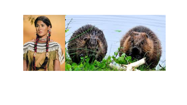 0402j90p-bc72-640x360.png