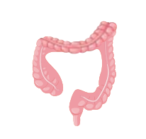 0402jbab-d6a9-206x195.png
