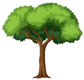Tree: векторные изображения и иллюстрации, которые можно скачать бесплатно | Freepik