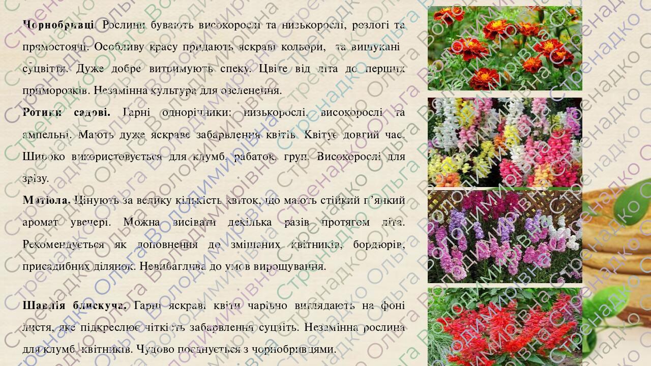 5 клас НУШ Урок 2. Основи технології вирощування рослин та догляду за ...