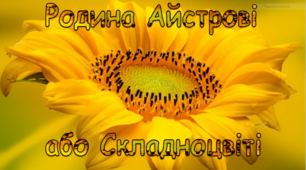 Презентація " Родина  Айстрових"