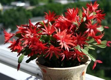 0402jjjj-f26a-371x266.jpg