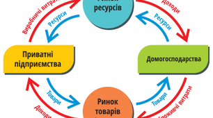 Ринкова економіка. Принципи ринкової економіки. Кругообіг в ринковій економіці. Попит і пропозиція, ринкова ціна, конкуренція. 