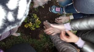 Проєкт "Стань природі другом"