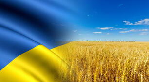 Україна у 2005-2014 роках