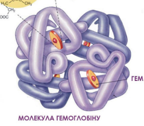 0402jmpa-fda0-282x246.png