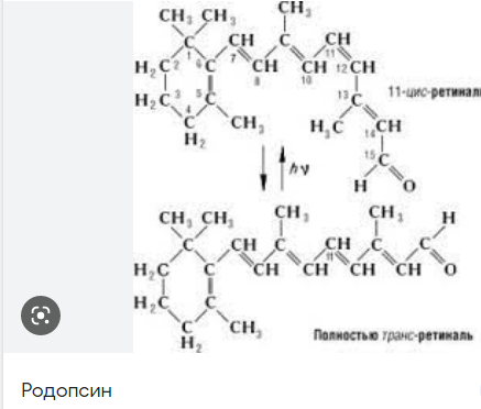 0402jmsh-73aa-437x372.png