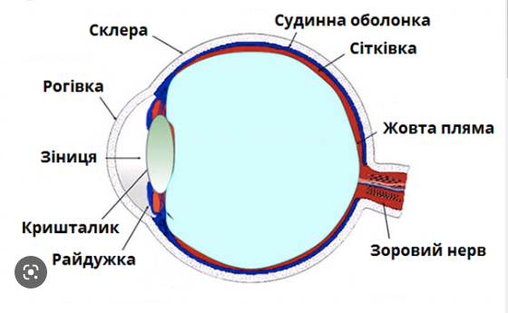 0402jmsy-6541-560x345.png