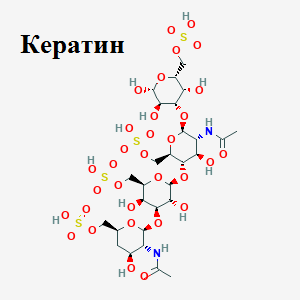 0402jo2r-3027-300x300.png