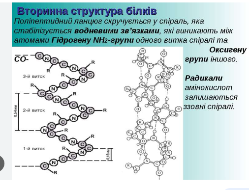 0402jo7a-7221-506x387.png