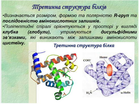 0402jo7u-e458-490x366.png