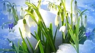 UNIT 6	HELLO SPRING!  Щасливого Великодня! ст.122