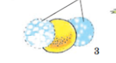 0402jpeh-6a07-169x93.png