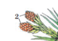 0402jpeq-d61e-118x85.png