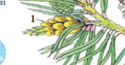 0402jpey-b35c-178x93.png