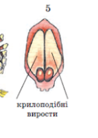 0402jpf4-9b18-143x202.png