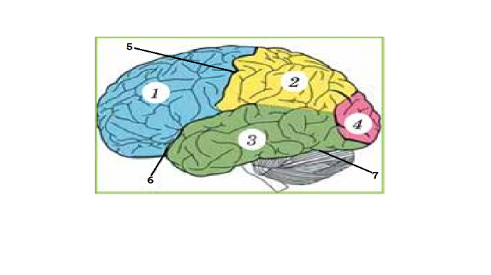 0402jtor-a4d7-691x388.png